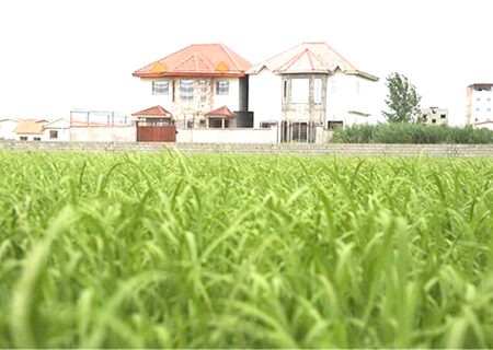 لزوم جلوگیری از تبدیل اراضی کشاورزی خوزستان به باغ ویلا