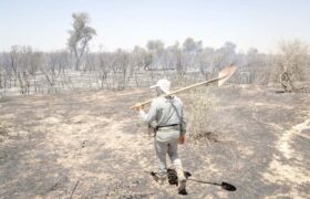 سوختن ۶۵ هکتار از جنگل‌های کرخه در آتش