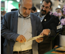 رکورد تاریخی در صنعت چوب کشور رقم خورد